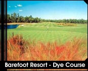 Myrtle Beach Hot Deal