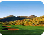 Scottsdale Hot Deal:  for $229.95.