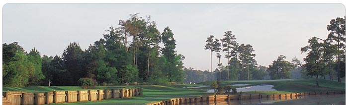 Golf Zoo Vacations