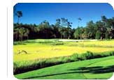 Kiawah Island Hot Deal:  from $249.95 for 3 nights.