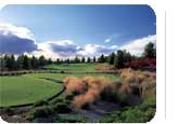 Scottsdale Hot Deal:  from $129.95 for 3 nights.