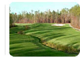 Myrtle Beach Hot Deal: $229.95  for 3 rounds