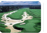 Myrtle Beach Hot Deal:  for $113.95. for 3 nights