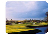 Myrtle Beach Hot Deal:  for $129.95. for 3 nights