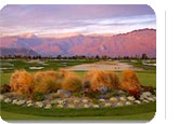 Palm Springs Hot Deal:  for $159.95.
