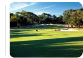 Tampa Hot Deal:  for $184.95 for 4 nights.