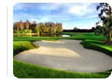 Tampa Hot Deal:  for $375.00. for 4 nights
