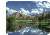 Palm Springs Hot Deal:  for $149.95.  per person / night for  4 nights