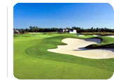 Orlando Hot Deal:  for $139.95. 