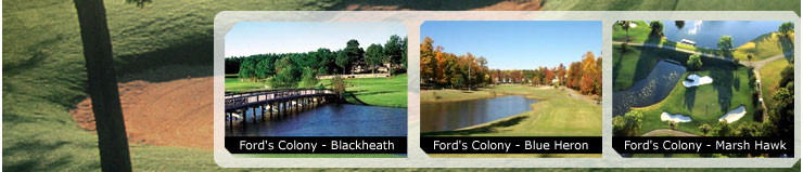 Hot Deal Pictures: Ford's Colony - Blackheath, Ford's Colony - Blue Heron, Ford's Colony - Marsh Hawk