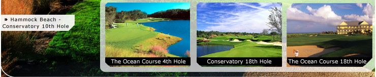 Hot Deal Pictures: The Ocean Course 4th Hole, Conservatory 18th Hole, The Ocean Course 18th Hole