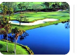 Palm Beach Hot Deal:  for $155.00 