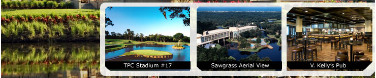 Hot Deal Pics: TPC Stadium #17,  Sawgrass Aerial View,  V. Kelly’s Pub.