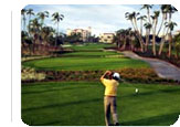 Miami Hot Deal:  for $175.00  per person / night for  4 nights