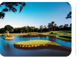 Jacksonville Hot Deal:  for $540.00  for 4 nights.