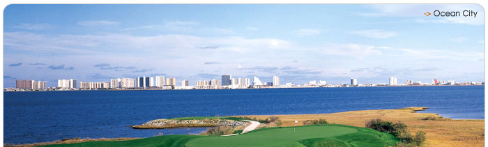 Golf Zoo Vacations