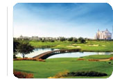 Orlando Hot Deal:  for $250.00. for 3 nights.