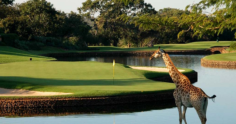 Leopark Creek Golf Course