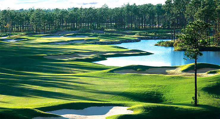 Ocean Ridge Golf - Tiger's Eye