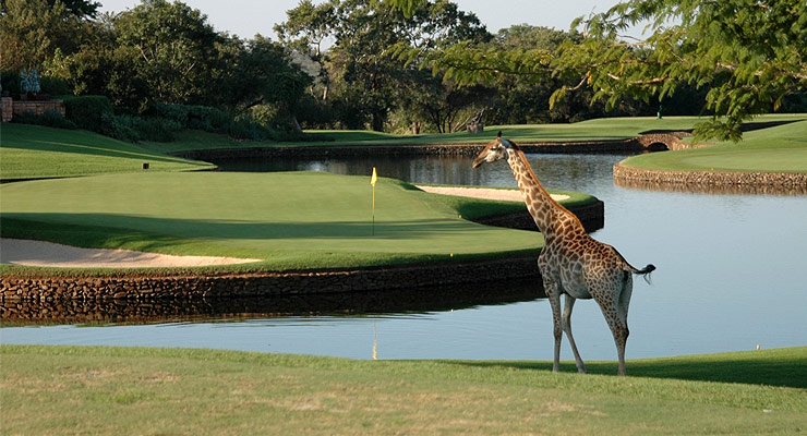 Leopark Creek Golf Course