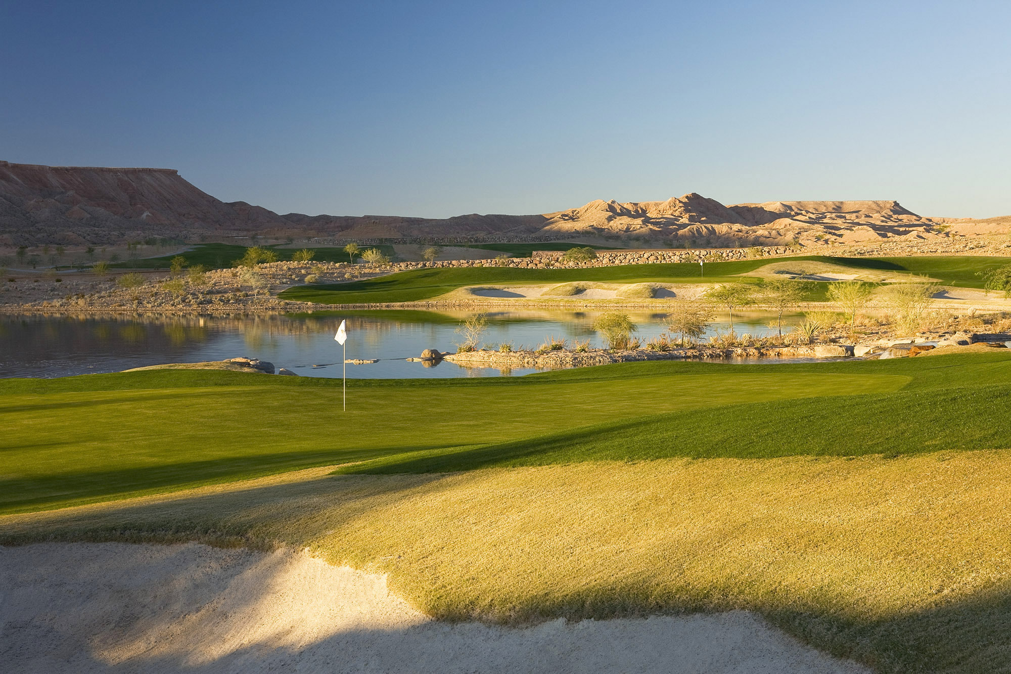 Mesquite