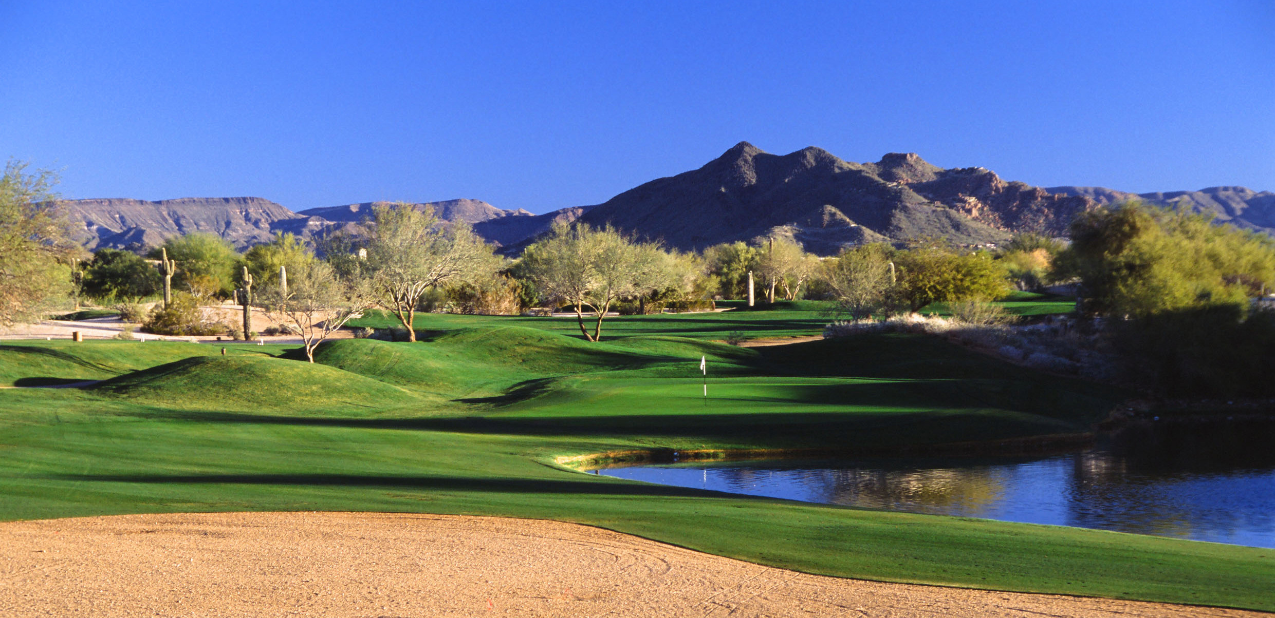 Arizona National, Tucson, Arizona Golf course information and reviews.