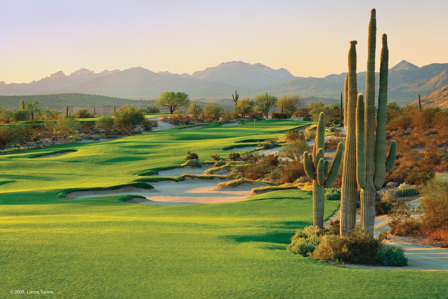 Arizona National Golf Club