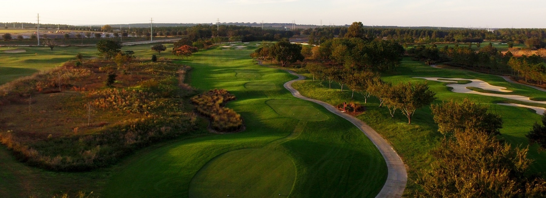 Orange County National Crooked Cat