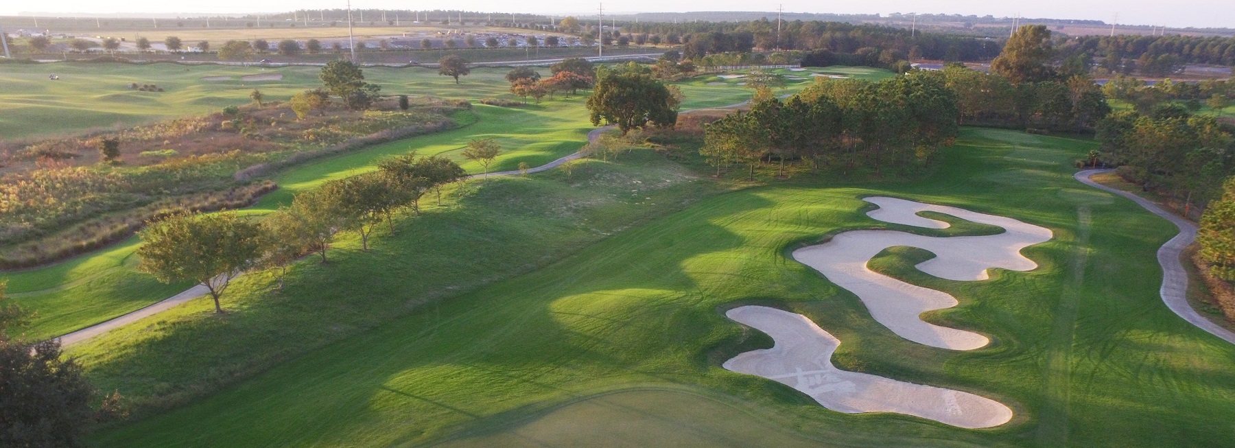 Orange County National Crooked Cat