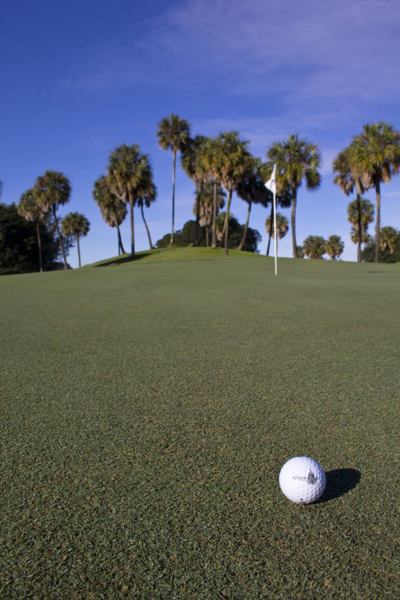 The Senator Course at Don Shulas Resort