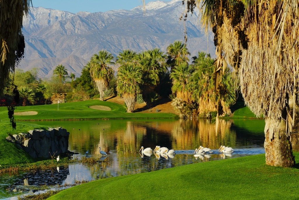 Palm Springs Golf Packages Desert Willow Mountainview