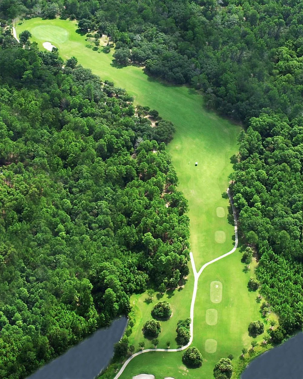 Halifax Plantation Golf Club Golf Vacation Packages