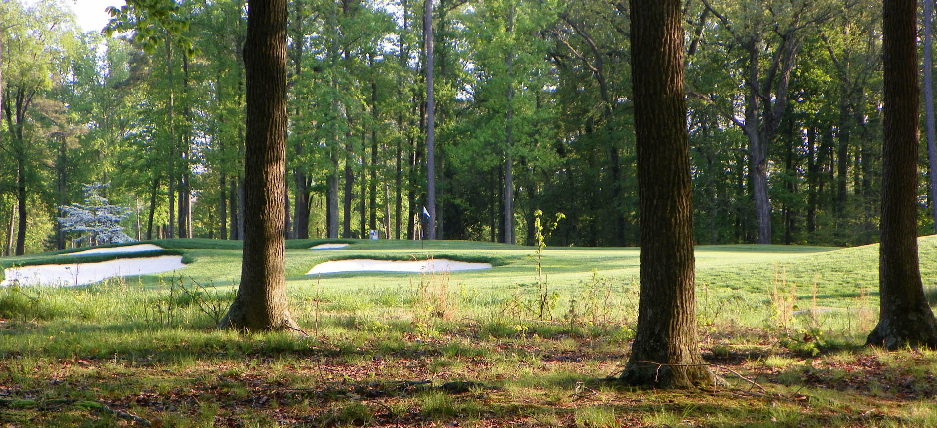 Queenstown Harbor River Course