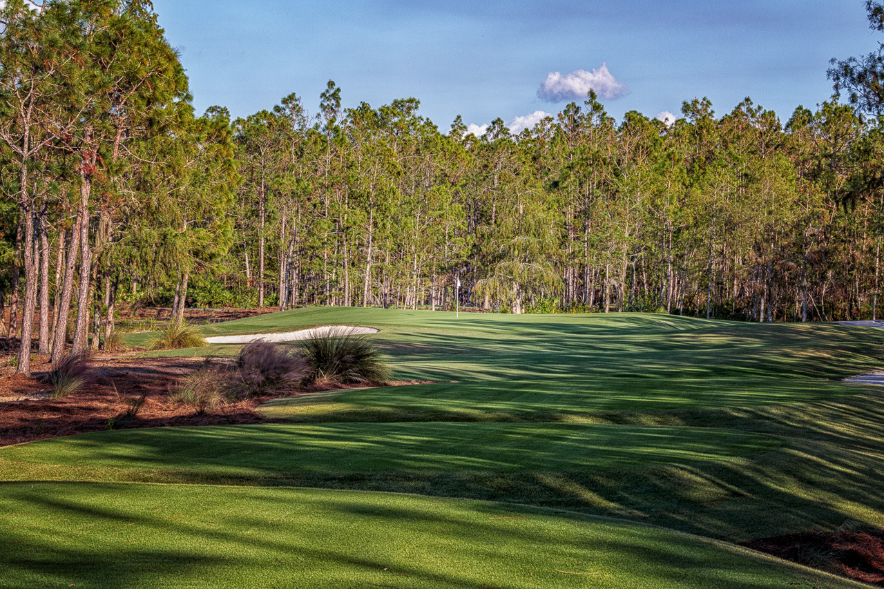 Tiburon Golf Club Black Course