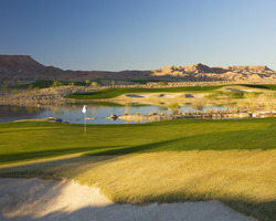 Mesquite
