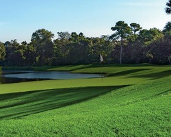 Golf Vacation Package - Palmetto Dunes - Arthur Hills