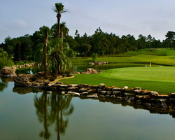 Golf Vacation Package - Juliette Falls Golf Club