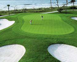 Golf Vacation Package - Palmetto Dunes Resort - Stay & Play, 3 Round Special!