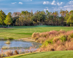 Golf Vacation Package - Tiburon Golf Club - The Black Course