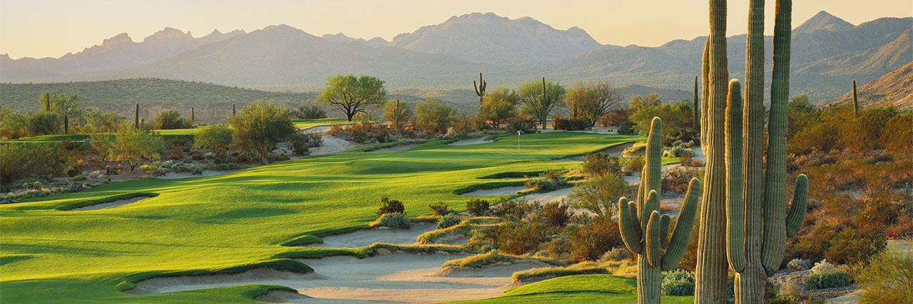 Golf Zoo