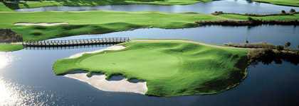 Golf Zoo